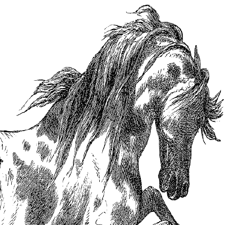 Kei 00gp Github - Abstract Patterns - Professional 8K Collection