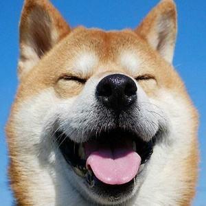 Nine Eth Nine Eth Github