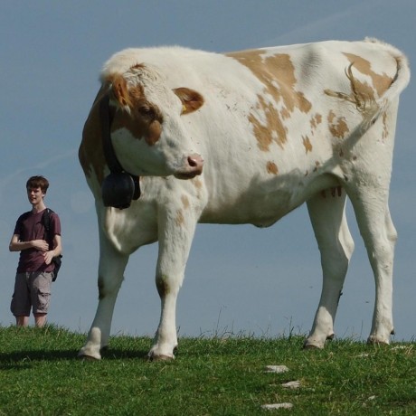 Colinmorris Colin Github - Ultra HD Abstract Pictures for Desktop