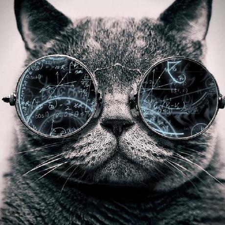 Zero804 Github - Premium 4K Abstract Designs | Free Download