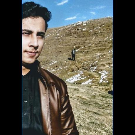 Shayan1212 S M Shayan Ali Shah Github