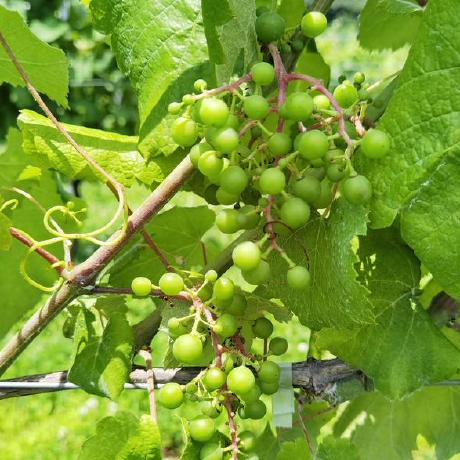 Wine Ineff Artsem Holub Github - Download Ultra HD Geometric Background | 4K