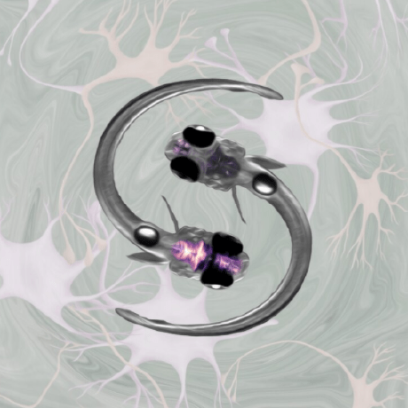 Github Zpliulab Muton - Download Beautiful Landscape Design | Ultra HD