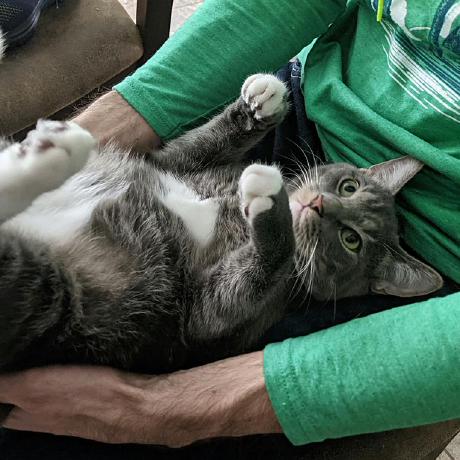 Timeout Error Issue 355 Kubilus1 Autoortho Github - Gradient Images - Modern HD Collection