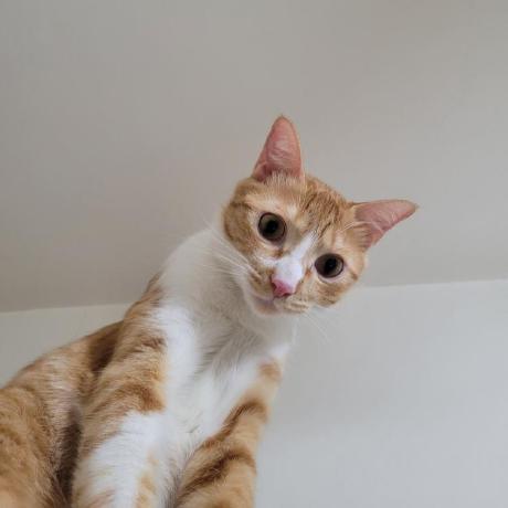 Yusun058 Yu Sun Github - Retina City Designs for Desktop