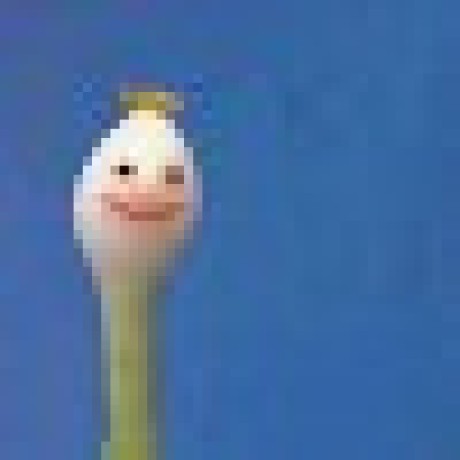 Harucy16 Cyy Github - Best Sunset Pictures in Ultra HD