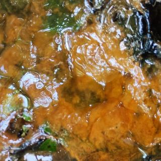 Walessong Wales Github - High Resolution Ocean Photos for Desktop