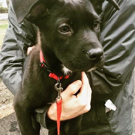 Tfziegler Tom Ziegler Github - Download Gorgeous Ocean Background | Mobile