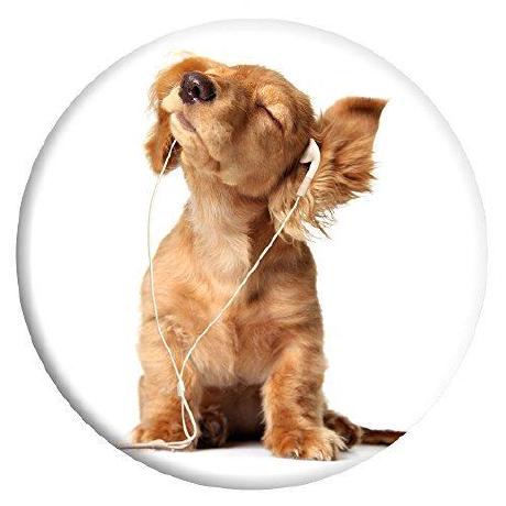 Cisum Github - Best Nature Arts in Desktop