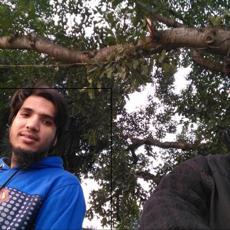 Siddhartha Tapadar Siddhartha Tapadar Github - Premium Nature Art Gallery - Retina