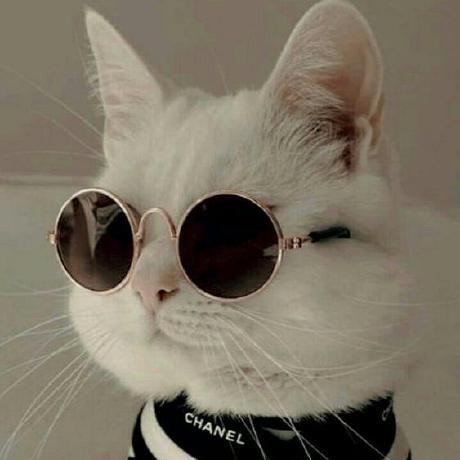 Meng Thao Github - Best Nature Arts in HD