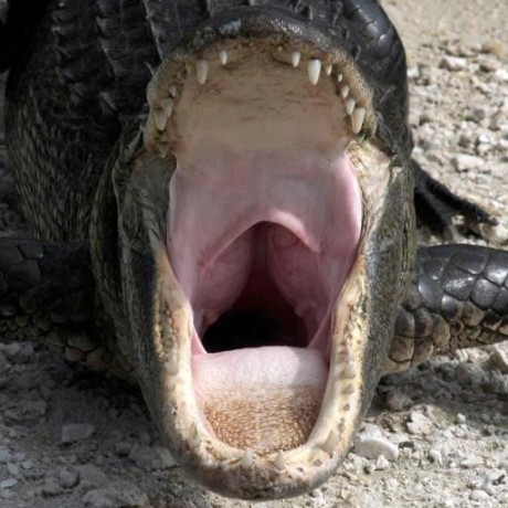 Github Ianare Exif Samples Sample Images For Testing Exif Metadata - Premium Minimal Picture - HD