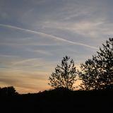 Api For Json Data Issue 115 Wiedehopf Tar1090 Github - Geometric Pattern Collection - 4K Quality