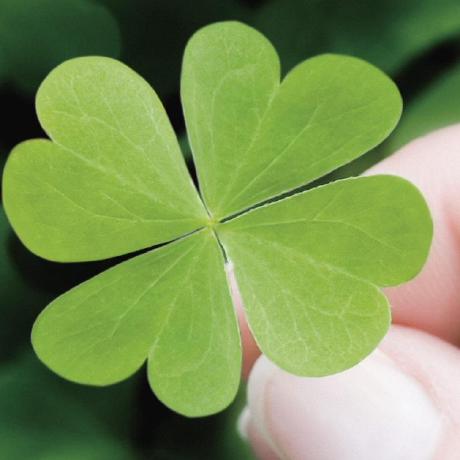 Github Hieudien Luvinaproject Create Luvina Project - Vintage Illustrations - Amazing HD Collection