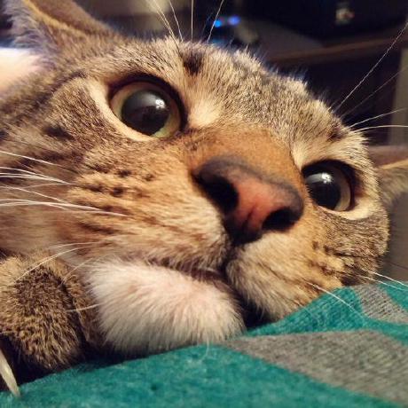 Karim007 Karim Github - Premium Landscape Texture Gallery - Retina