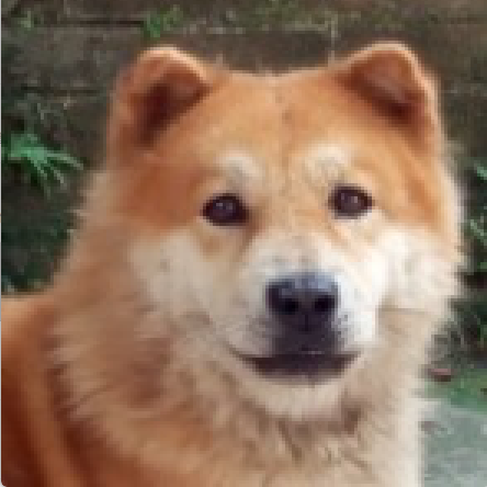 Linhx Ec Github - Premium Ocean Design Gallery - Mobile