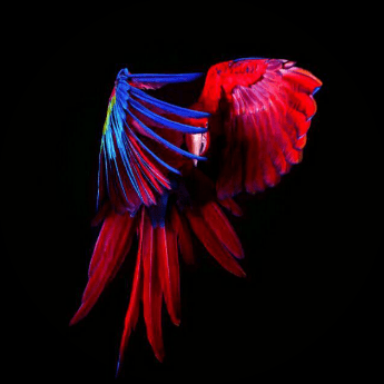 Elax Resources Github - Mountain Wallpapers - Gorgeous Mobile Collection