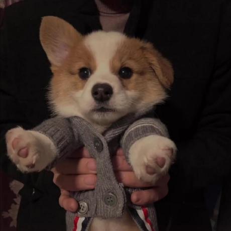 Github Destinywei Consensusmechanism - Best Dark Backgrounds in Ultra HD