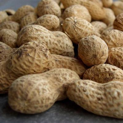 Github Simba0427 Avhd - Premium Gradient Texture Gallery - High Resolution