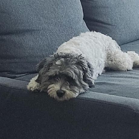 Fallendawn05 Aidan Github - HD Colorful Illustrations for Desktop