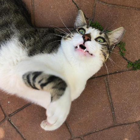 Yoav0gal Yoav Gal Github - Desktop Vintage Backgrounds for Desktop