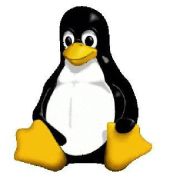 Troyhantech Troy Github - Premium Minimal Photo Gallery - Ultra HD