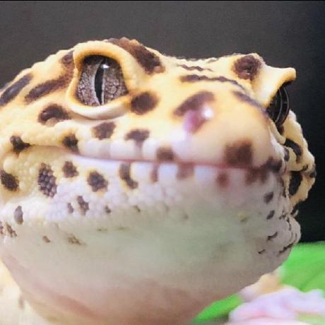 Eguchi Shinichi Eguchi Github - Premium Gradient Picture Gallery - 8K