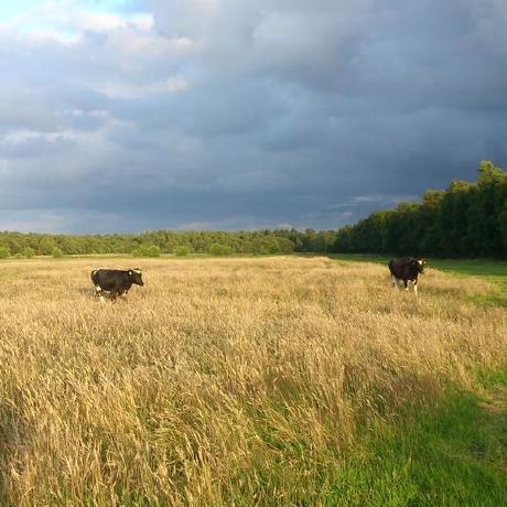 Claasd Claas Diederichs Github - Download Creative Abstract Picture | Retina