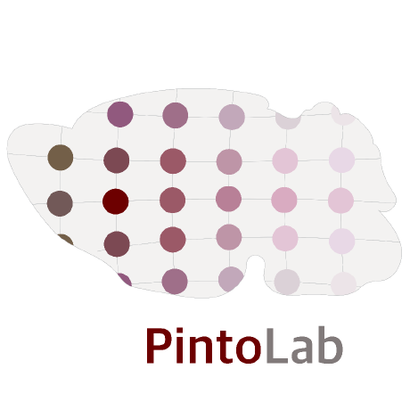 Pinto Lab Northwestern Github - Desktop Vintage Arts for Desktop