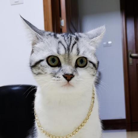 Github Oujidejihe Pg2024 Data Parallel Ray Tracing - 4K Gradient Photos for Desktop