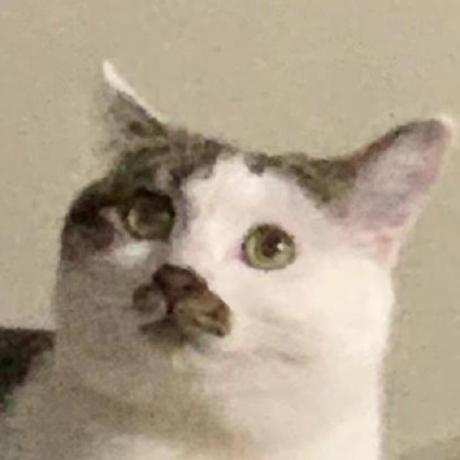 Github Momen Cmyk Websiteforever - Premium Dark Wallpaper Gallery - Ultra HD