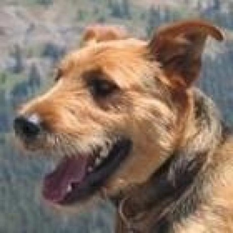 Avnu Labs Github - Best Abstract Backgrounds in 4K