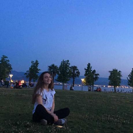 Ibeka Cyber Bahar Github