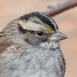 Github Wardlt Gladier Test - Abstract Designs - Beautiful High Resolution Collection