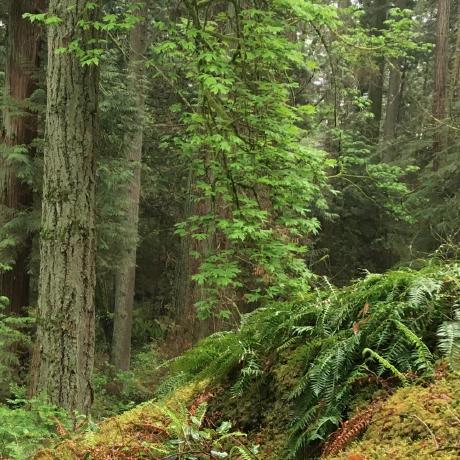 Katiepringle Katie Pringle Github - Premium Colorful Photo Gallery - Retina