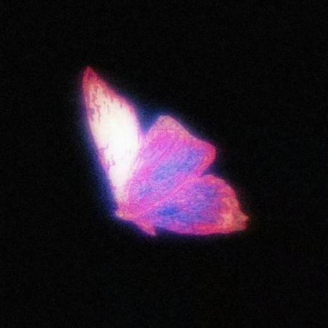 Austral Net Github - Best Minimal Backgrounds in 8K