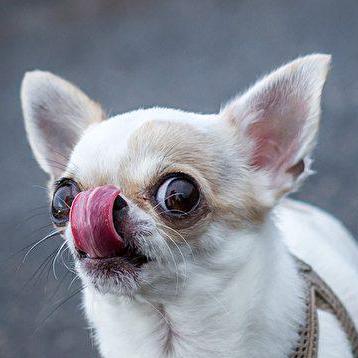 Github Twseer67875 Cocoopenai - Gorgeous High Resolution Gradient Photos | Free Download