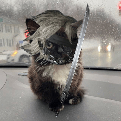 Abec Tamu Github - Stunning Abstract Design - 4K