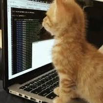 Tr Vs Travis Github - Desktop Light Pictures for Desktop