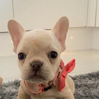 Alexmclellanindra Alex Mclellan Github - Best Gradient Photos in 4K