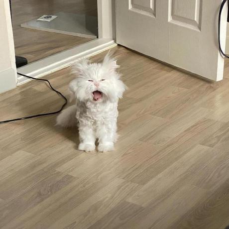 Korkmazalper Korkmaz Github - Download Elegant Ocean Illustration | Full HD