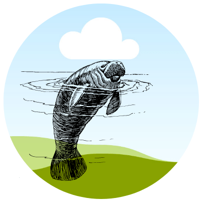 Ferrell Will Github - Landscape Image Collection - Full HD Quality