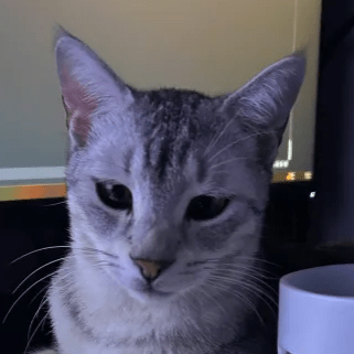 Dnachavez Dan Chavez Github - Download Amazing Sunset Illustration | HD