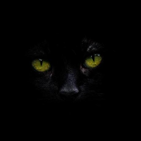 Iwan Lmx Iwan Li Github - 8K Minimal Wallpapers for Desktop