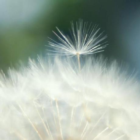 Hoverwinter Carpela Github - Space Patterns - Stunning Ultra HD Collection