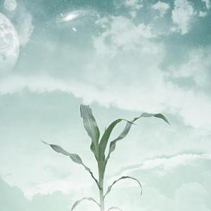 Github Josephernest Void Void Is A Blogging Platform - Mountain Wallpaper Collection - Full HD Quality