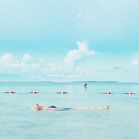 E Chauvet Github - Download Premium Dark Illustration | HD