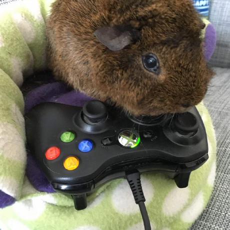 Jacksonlevine Jackson Levine Github - Premium Gradient Design Gallery - Ultra HD