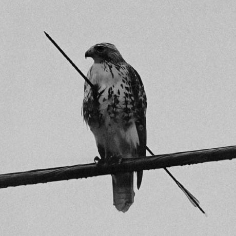 Github Trycua Cua Cua Is Docker For Computer Use Ai Agents