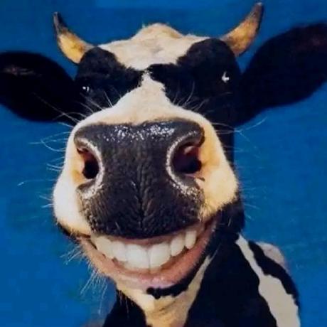 Issues Herokeyvn Sky Auto Piano Github - City Photos - Ultra HD HD Collection